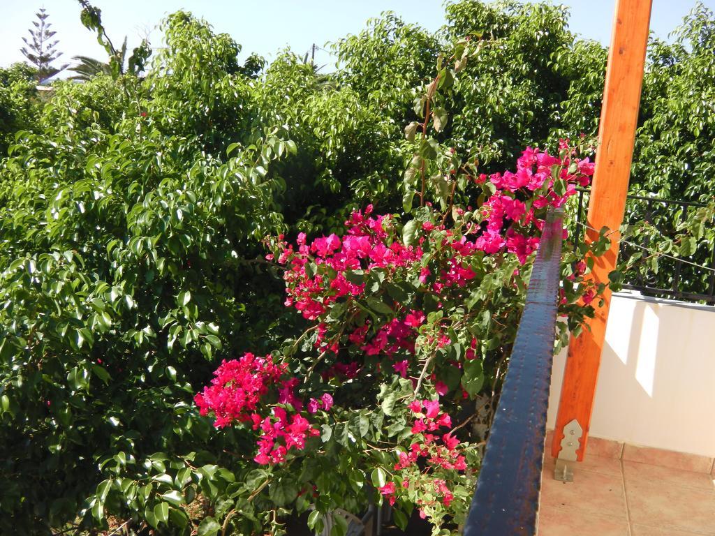 Serenity Hideaway Палеохора Номер фото
